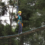 SICREDI VALE DO PIQUIRI - 12.04.2025 100