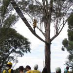 COPACOL - 03.05.2025 068