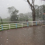 FRIMESA - 09.05.2025 075