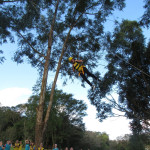 SICREDI VALE DO PIQUIRI - 24.05.2025 109