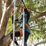 SICREDI VALE DO PIQUIRI - 24.05.2025 115