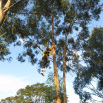 SICREDI VALE DO PIQUIRI - 24.05.2025 141