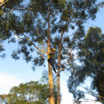 SICREDI VALE DO PIQUIRI - 24.05.2025 142