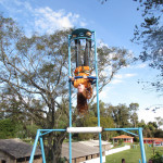 COPACOL - 16.07.2025 116