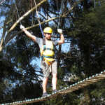 Vetfarma 08.07.2025 072