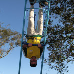 Vetfarma 08.07.2025 118