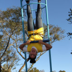 Vetfarma 08.07.2025 119