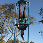 Vetfarma 08.07.2025 120