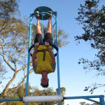 Vetfarma 08.07.2025 123