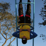 Vetfarma 08.07.2025 124