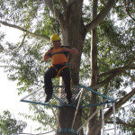 COPACOL - 01.08.2025 091