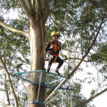 COPACOL - 01.08.2025 100