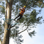 COPACOL - 01.08.2025 108