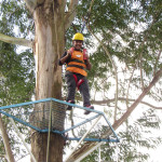 COPACOL - 07.08.2025  006