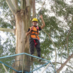 COPACOL - 07.08.2025  015