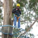 COPACOL - 08.08.2025  073