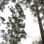 COPACOL - 08.08.2025  074