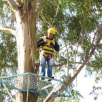 COPACOL - 08.08.2025  084