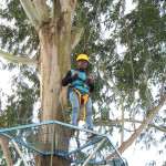 COPACOL - 08.08.2025  091