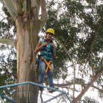 COPACOL - 08.08.2025  101