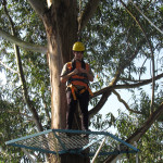 Copacol Fase II - 21.08.25 047