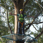 Copacol Fase II - 21.08.25 048