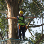 Copacol Fase II - 21.08.25 050