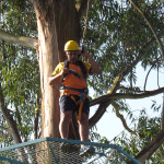 Copacol Fase II - 21.08.25 051