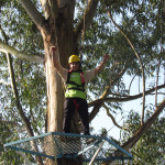 Copacol Fase II - 21.08.25 052