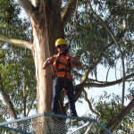 Copacol Fase II - 21.08.25 055