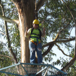 Copacol Fase II - 21.08.25 057