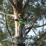 Copacol Fase II - 21.08.25 059