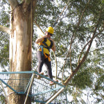 SICREDI - 02.08.2025 115