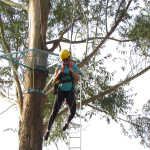 SICREDI - 02.08.2025 119