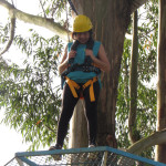 SICREDI - 02.08.2025 125