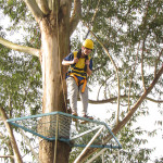 SICREDI - 02.08.2025 132