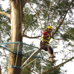 SICREDI - 02.08.2025 138