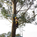 SICREDI - 02.08.2025 148