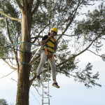 SICREDI - 02.08.2025 154