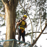 SICREDI - 02.08.2025 158