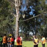 TRANSPORTES MAROSO - 09.08.2025 075