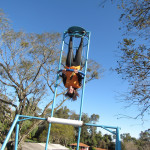 TRANSPORTES MAROSO - 09.08.2025 119