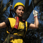 SICREDI VANGUARDA - 30.09.2025 101