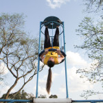 Unimed Cascavel - 20.09.25 109