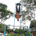 C.VALE - 25.10.25098