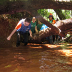 Copacol Trilha - 19.10.25118