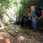 Copacol Trilha - 19.10.25148