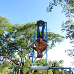 FRIMESA - 19.11.25 115