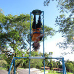 FRIMESA - 19.11.25 124