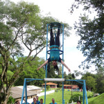 VETFARMA 24-01-26 122